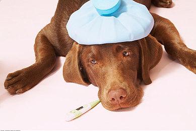 放心更新 《塞尔达：王国之泪》1.1.1没有修复复制漏洞